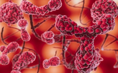 What Are Exosomes? An Experts guide